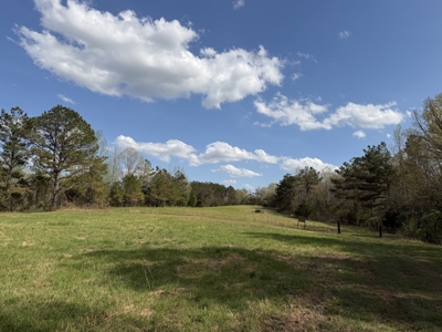 Country Estate Farm For Sale In Tn, 61.5 Ac, Creek, Fields, Barn - image 42