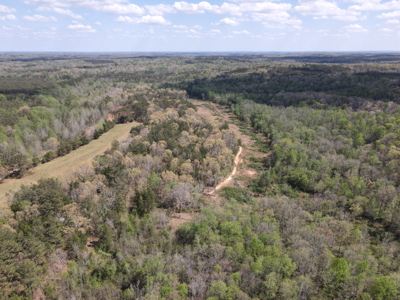 Country Estate Farm For Sale In Tn, 61.5 Ac, Creek, Fields, Barn - image 27
