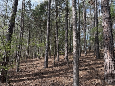 Country Estate Farm For Sale In Tn, 61.5 Ac, Creek, Fields, Barn - image 44