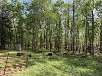 Country Estate Farm For Sale In Tn, 61.5 Ac, Creek, Fields, Barn - image 45