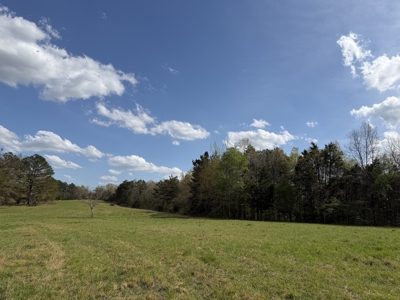 Country Estate Farm For Sale In Tn, 61.5 Ac, Creek, Fields, Barn - image 41