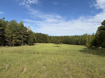 Country Estate Farm For Sale In Tn, 61.5 Ac, Creek, Fields, Barn - image 40