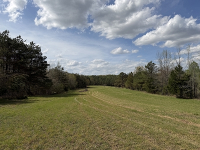 Country Estate Farm For Sale In Tn, 61.5 Ac, Creek, Fields, Barn - image 43