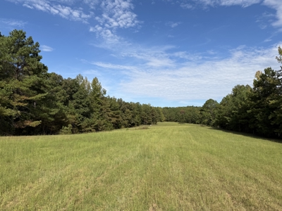 Country Estate Farm For Sale In Tn, 61.5 Ac, Creek, Fields, Barn - image 39