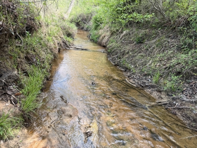 Country Estate Farm For Sale In Tn, 61.5 Ac, Creek, Fields, Barn - image 26