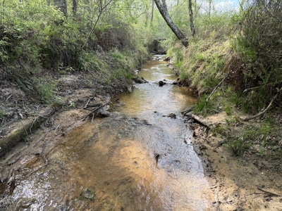 Country Estate Farm For Sale In Tn, 61.5 Ac, Creek, Fields, Barn - image 4
