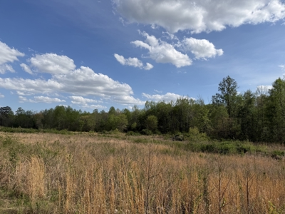 Country Estate Farm For Sale In Tn, 61.5 Ac, Creek, Fields, Barn - image 39