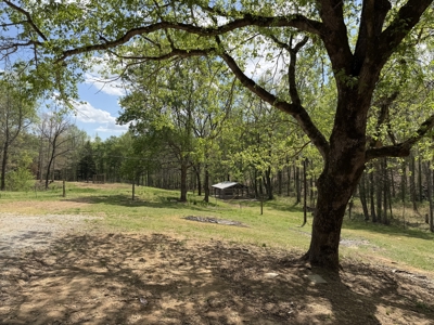 Country Estate Farm For Sale In Tn, 61.5 Ac, Creek, Fields, Barn - image 29