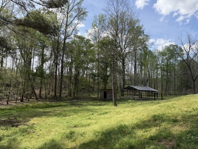 Country Estate Farm For Sale In Tn, 61.5 Ac, Creek, Fields, Barn - image 30