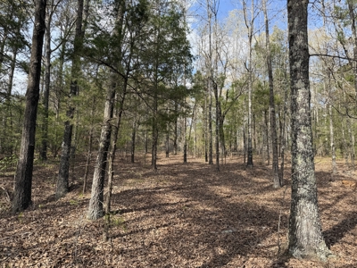 Country Estate Farm For Sale In Tn, 61.5 Ac, Creek, Fields, Barn - image 7