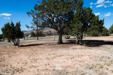 Small Homestead close to Seligman on 3.38 acres - image 37