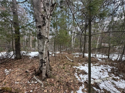 Beautiful lake lot located on Lower Rush Lake! - image 13