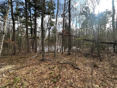 Beautiful lake lot located on Lower Rush Lake! - image 3