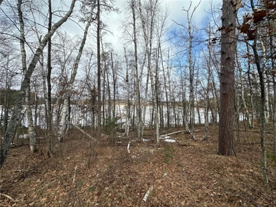 Beautiful lake lot located on Lower Rush Lake! - image 11