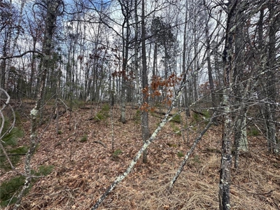 Beautiful lake lot located on Lower Rush Lake! - image 12