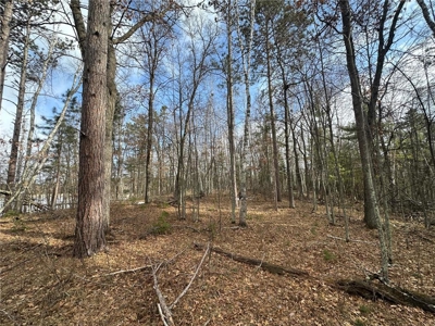 Beautiful lake lot located on Lower Rush Lake! - image 2