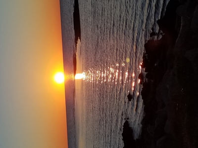 Prime Commercial Corner Lot in the Heart of Horseshoe Beach - image 14