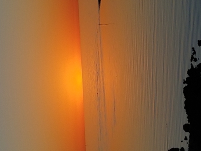 Prime Commercial Corner Lot in the Heart of Horseshoe Beach - image 19