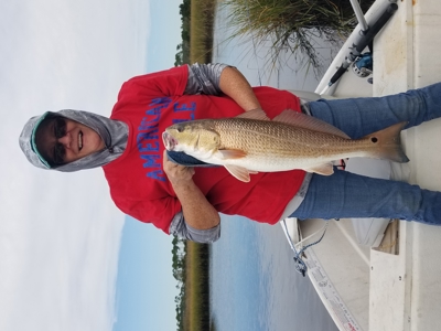 Prime Commercial Corner Lot in the Heart of Horseshoe Beach - image 18