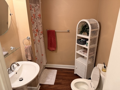 Updated Home for Sale in Salem, Virginia - image 28