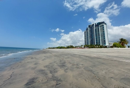 Prime 4.4-Hectare Flat Land Near Buenaventura & Playa Blanca - image 15