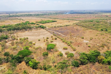 Prime 4.4-Hectare Flat Land Near Buenaventura & Playa Blanca - image 10