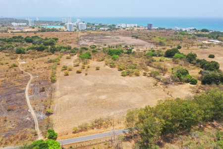 Prime 4.4-Hectare Flat Land Near Buenaventura & Playa Blanca - image 8