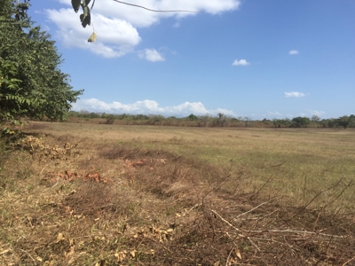 Prime 4.4-Hectare Flat Land Near Buenaventura & Playa Blanca - image 5