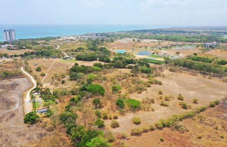 Prime 4.4-Hectare Flat Land Near Buenaventura & Playa Blanca - image 3