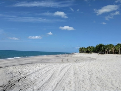 Prime 4.4-Hectare Flat Land Near Buenaventura & Playa Blanca - image 13