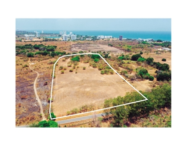 Prime 4.4-Hectare Flat Land Near Buenaventura & Playa Blanca - image 1