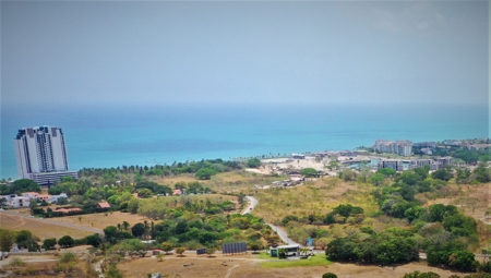 Prime 4.4-Hectare Flat Land Near Buenaventura & Playa Blanca - image 4