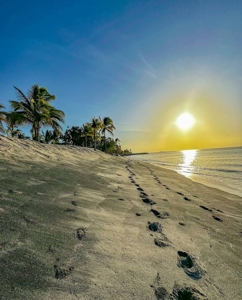 Prime 4.4-Hectare Flat Land Near Buenaventura & Playa Blanca - image 2