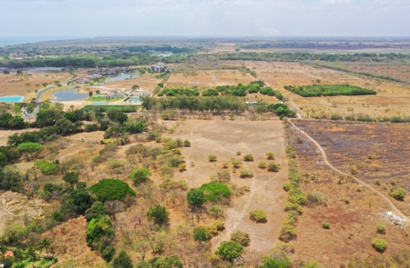 Prime 4.4-Hectare Flat Land Near Buenaventura & Playa Blanca - image 12