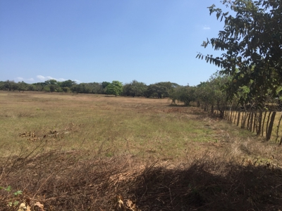 Prime 4.4-Hectare Flat Land Near Buenaventura & Playa Blanca - image 6