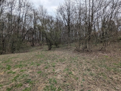 Building Lot in Somerset Ohio Perry County - image 3