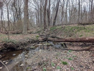 6 Acre Building Lot in Somerset - image 2