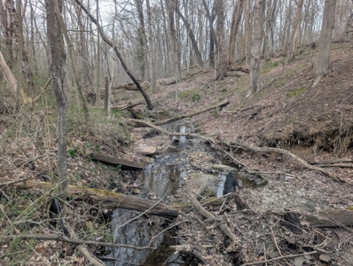 6 Acre Building Lot in Somerset - image 4