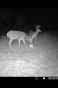 20± Acres with Utilities in DeKalb County, MO - image 13