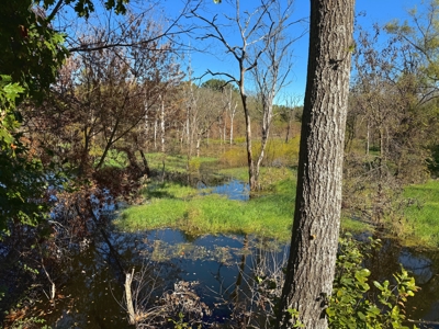 20± Acres with Utilities in DeKalb County, MO - image 10