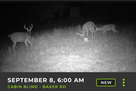 20± Acres with Utilities in DeKalb County, MO - image 14