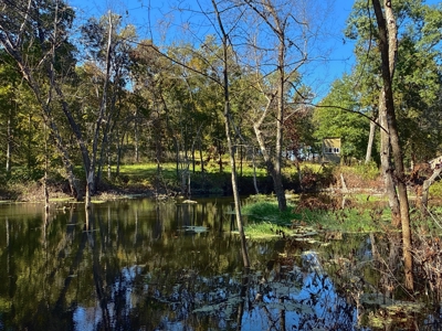 20± Acres with Utilities in DeKalb County, MO - image 8
