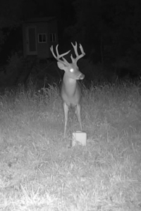 20± Acres with Utilities in DeKalb County, MO - image 19