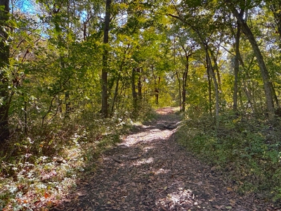 20± Acres with Utilities in DeKalb County, MO - image 11