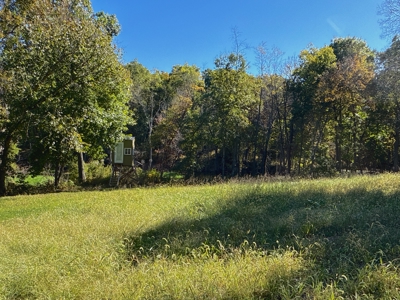 20± Acres with Utilities in DeKalb County, MO - image 9
