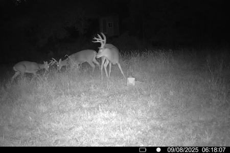 20± Acres with Utilities in DeKalb County, MO - image 12