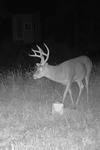 20± Acres with Utilities in DeKalb County, MO - image 18