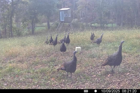 20± Acres with Utilities in DeKalb County, MO - image 17