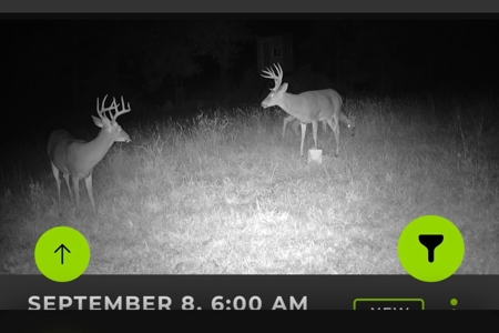 20± Acres with Utilities in DeKalb County, MO - image 15