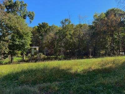 20± Acres with Utilities in DeKalb County, MO - image 7